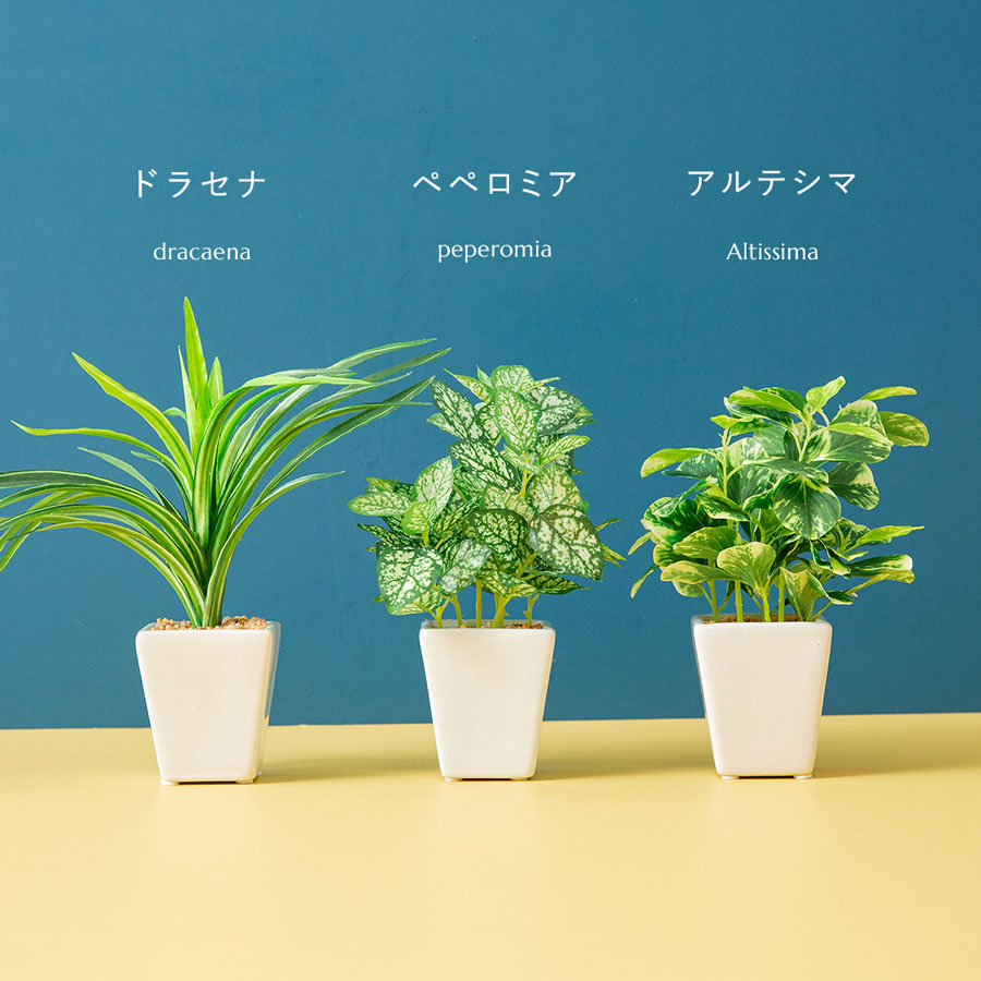 フェイクグリーンお譲りします　3つセット フェイク3点セット フェイクグリーン : 花とインテリア雑貨 fleur