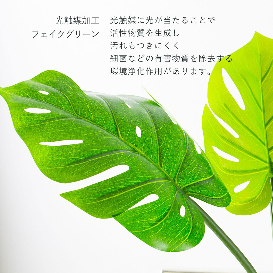 モンステラ 陶器鉢付 人工樹木 フェイクグリーン : 花とインテリア雑貨