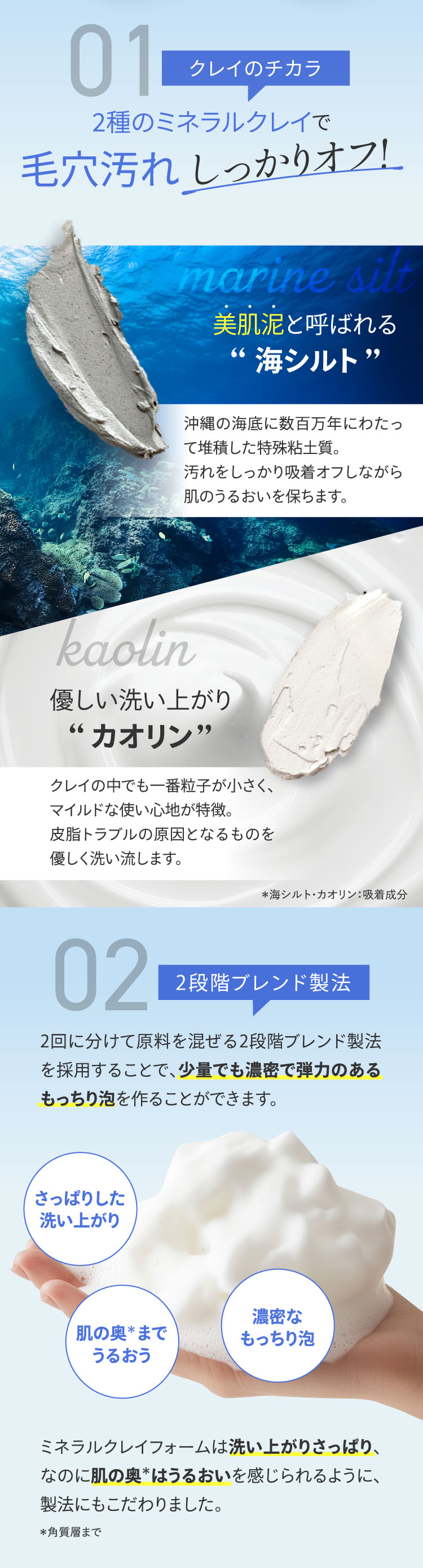 Fleuri（フルリ） 公式 ミネラルクレイフォーム 100g (1本) 洗顔 洗顔