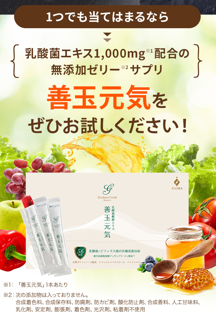 FLORA（ダイエット、健康） 善玉元気 30日分 乳酸菌発酵エキス