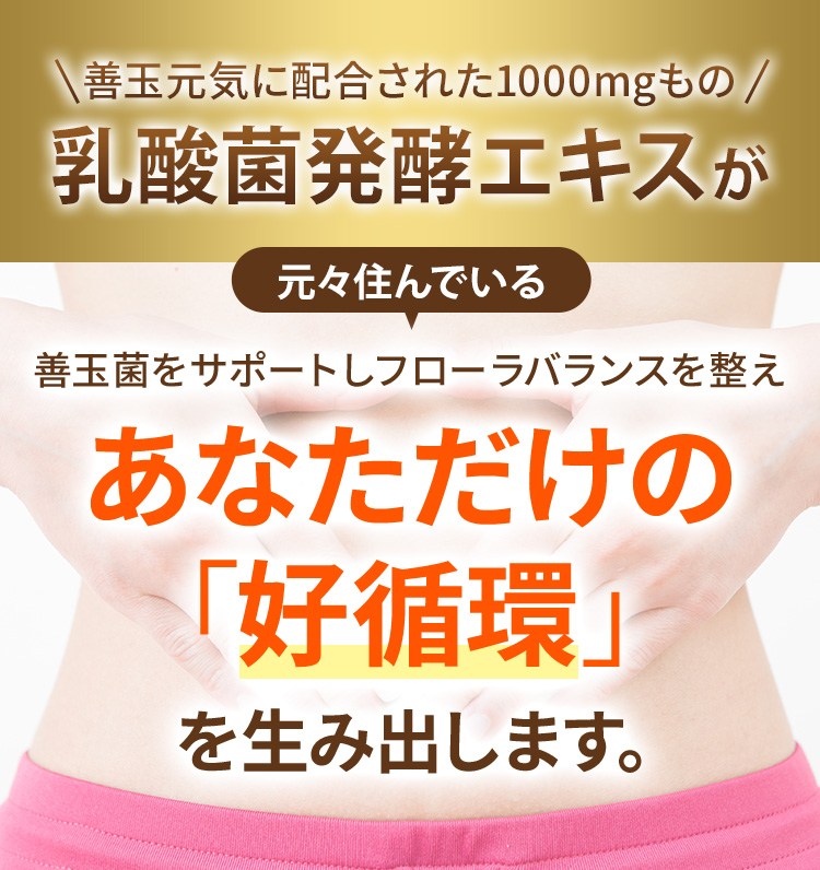 10日分お試し 善玉元気 乳酸菌発酵エキス 短鎖脂肪酸 善玉菌 乳酸菌