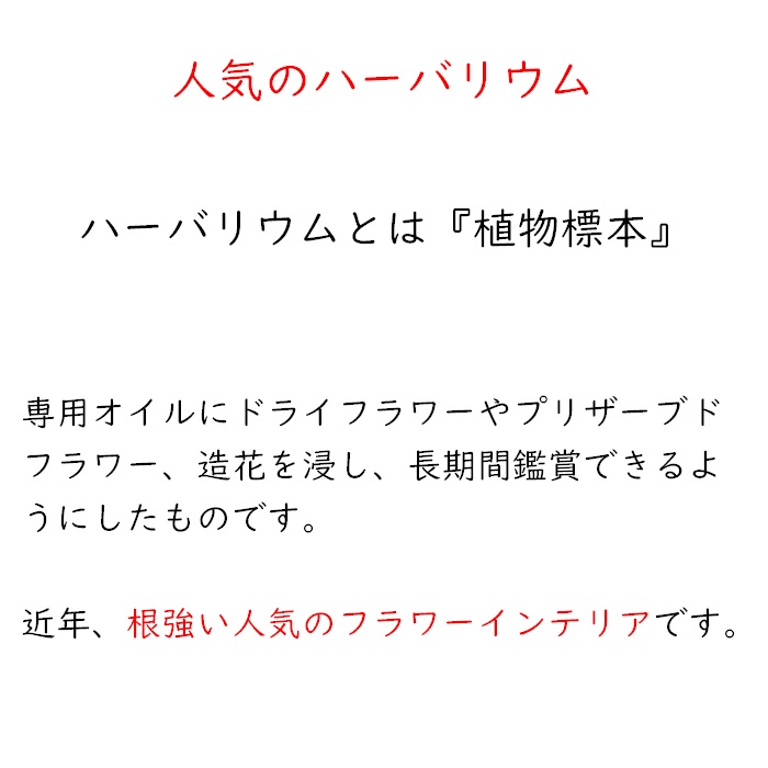 アクアリウム オブジェ ハーバリウム プレゼント 発表会 演奏会 2022 花 インテリア いい夫婦の日 熱帯魚 クラゲ クリオネ 誕生日 観賞魚  水族館 :aquarium:フラワーショップ スマイルYOSHIKO - 通販 - Yahoo!ショッピング