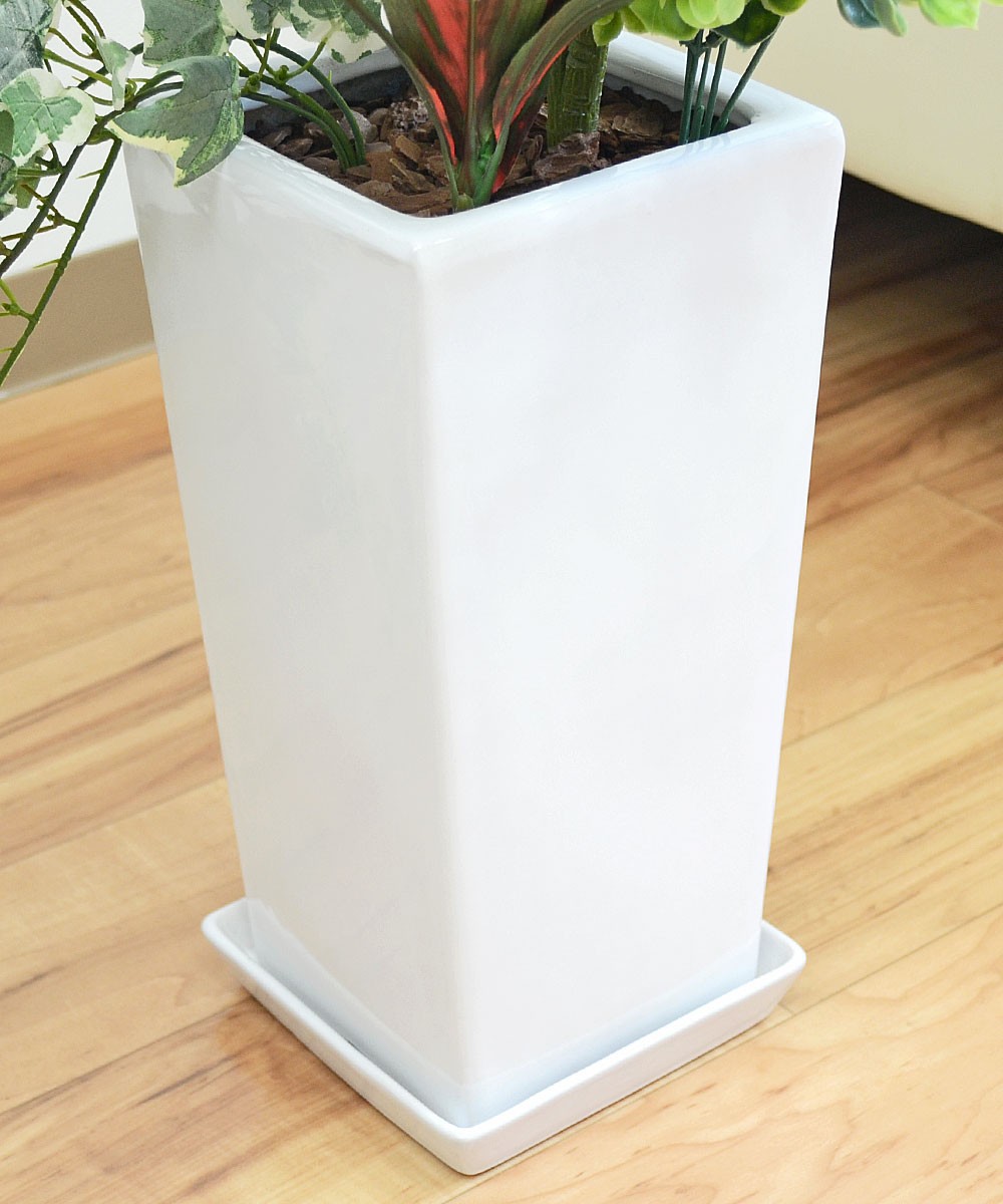 人工観葉植物 寄せ植え(フィカス・ウンベラータ) 陶器鉢 フェイク