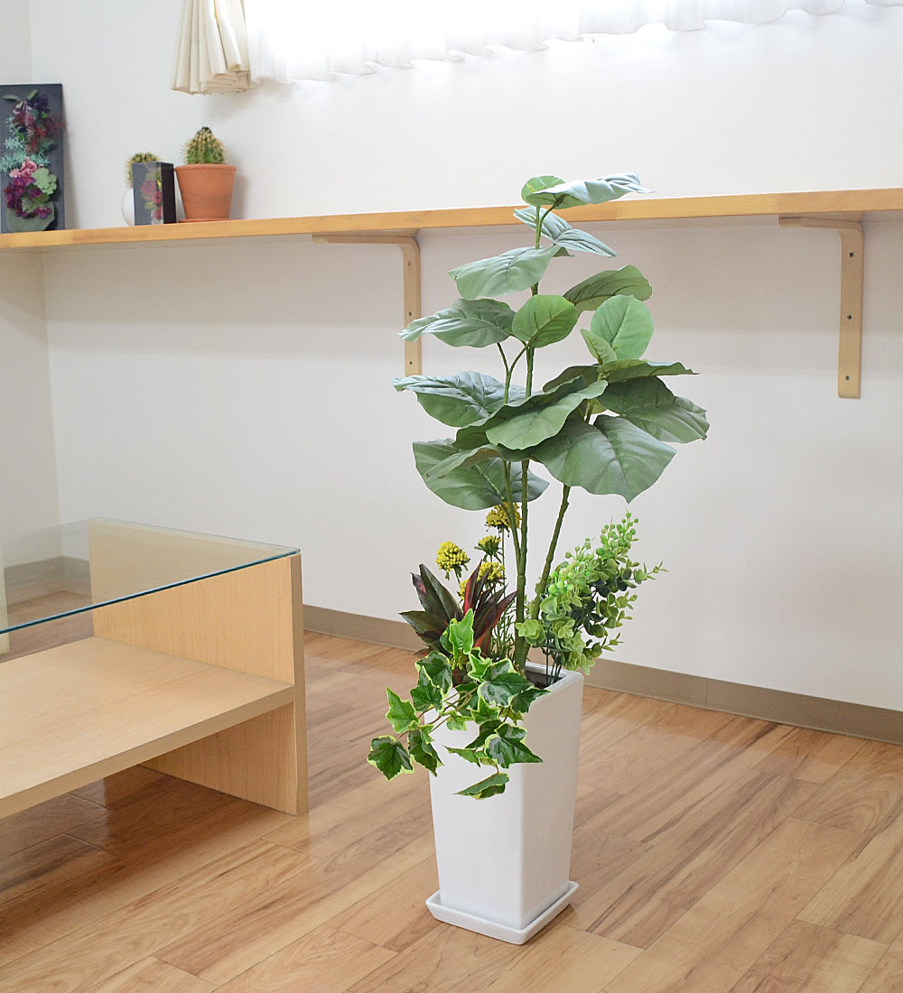 人工観葉植物 寄せ植え(フィカス・ウンベラータ) 陶器鉢 フェイク