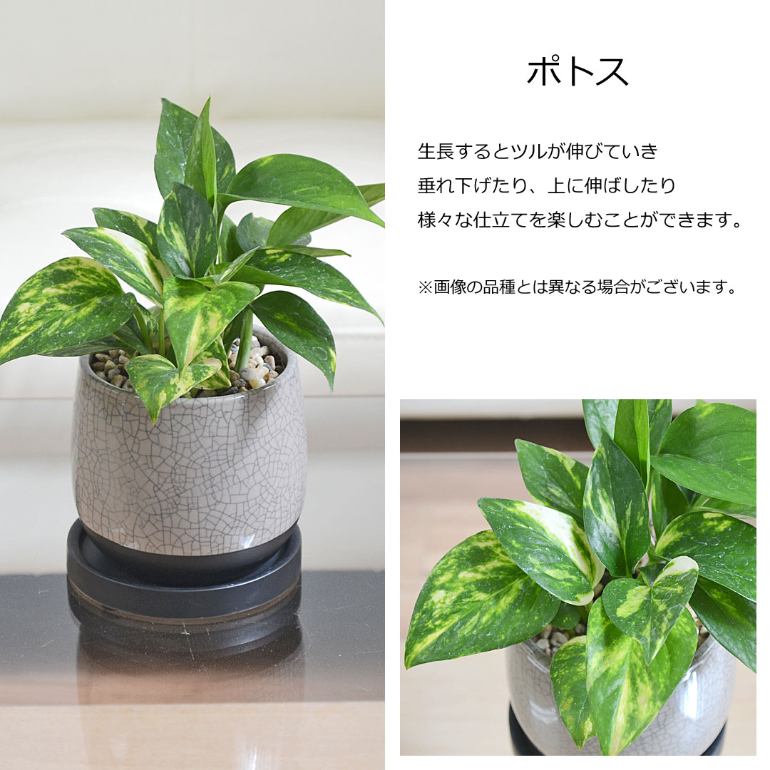 陶器鉢と飾り石３つ「アレンジ自在で素敵」インポート物 楽天市場】＼【 鉢＆受け皿 セット 】／ アートストーン 【S サイズ