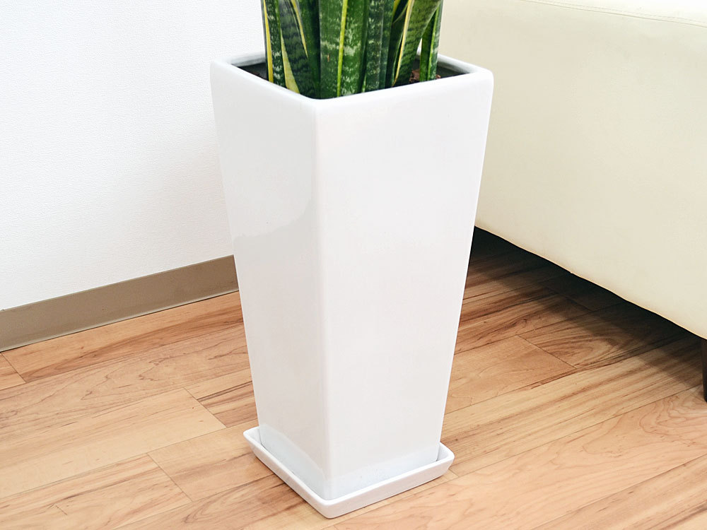 サンスベリア　造花　陶器鉢　観葉植物 観葉植物の販売・ギフトならフラワーコーポレーション / 観葉植物