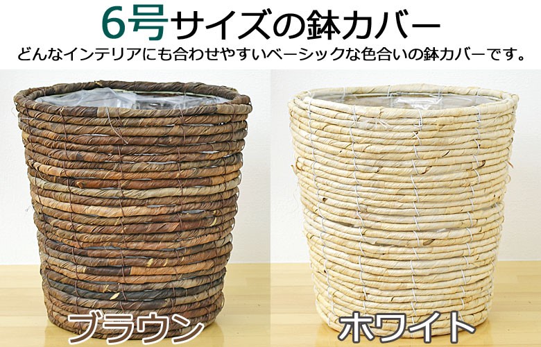 選べる観葉植物2鉢セット 6号3号 鉢カバー付き(6号のみ) おしゃれ