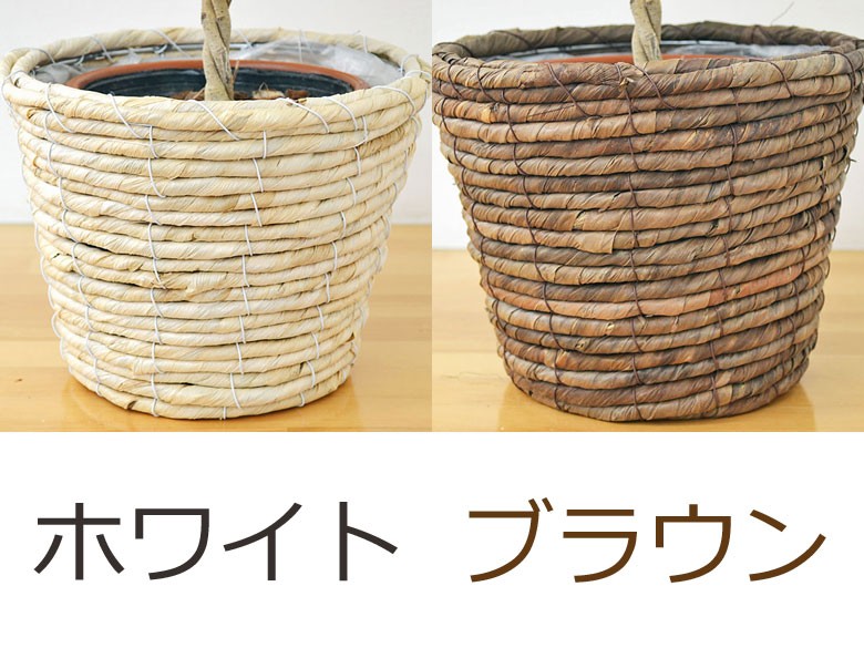 鉢カバーの拡大