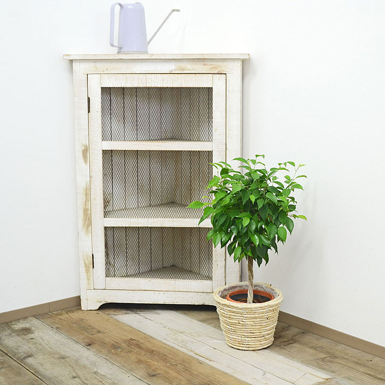 観葉植物 ベンジャミン 鉢カバー付き 5号 ホワイト鉢カバーイメージ