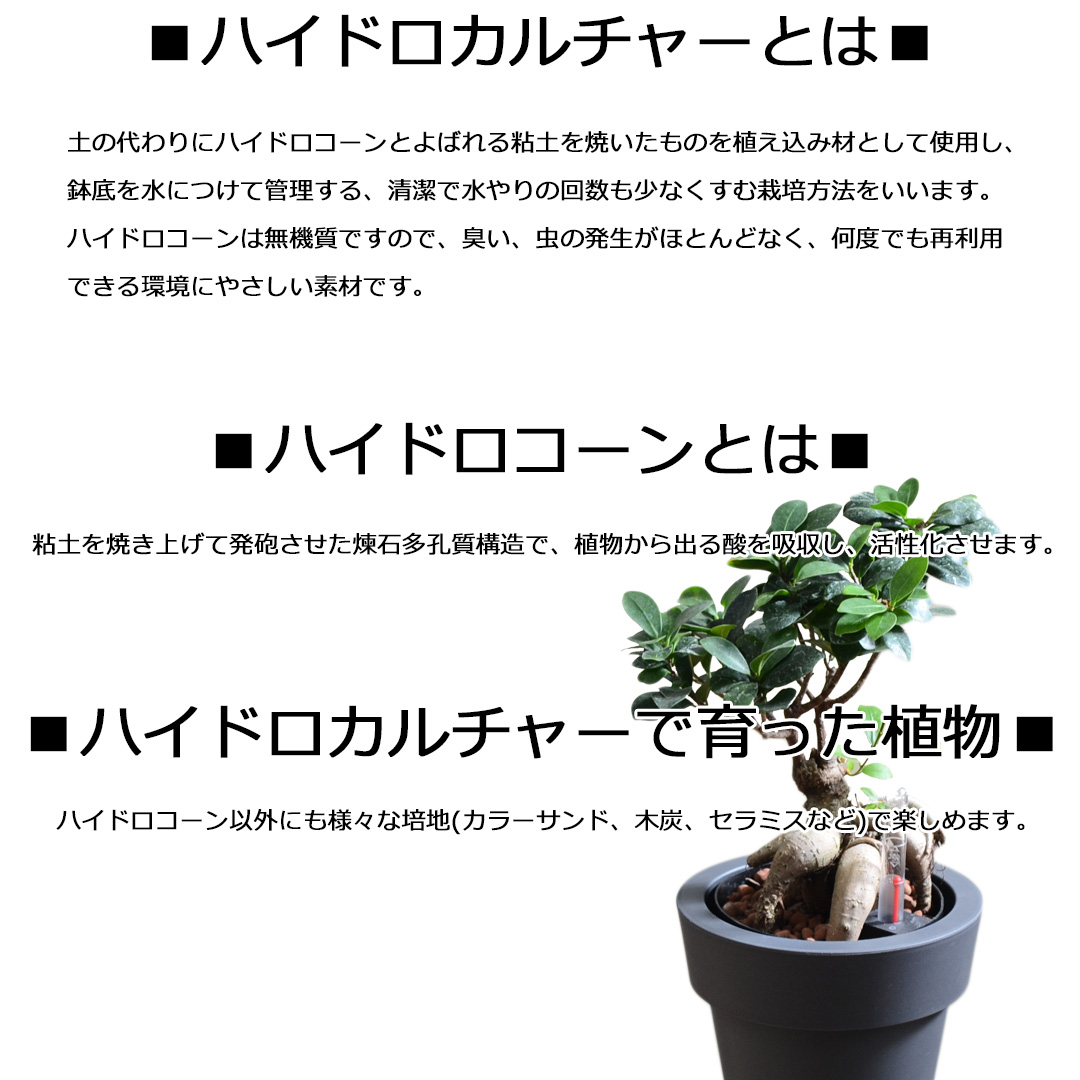 説明
