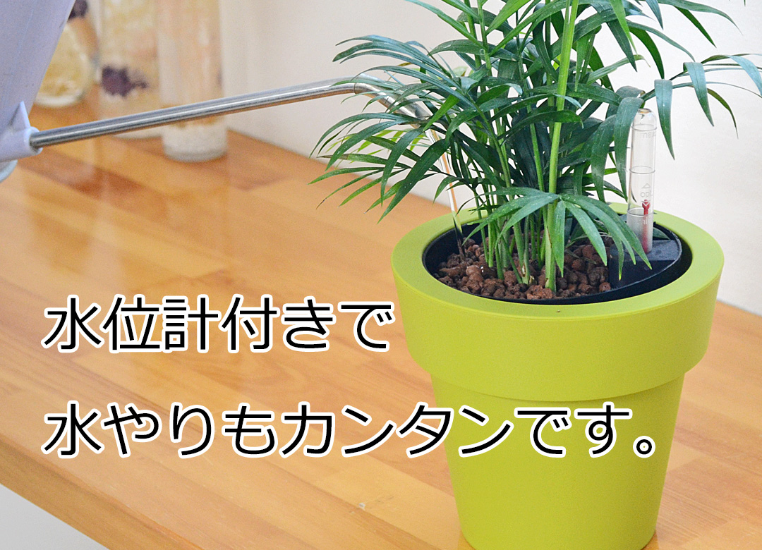 水やり説明