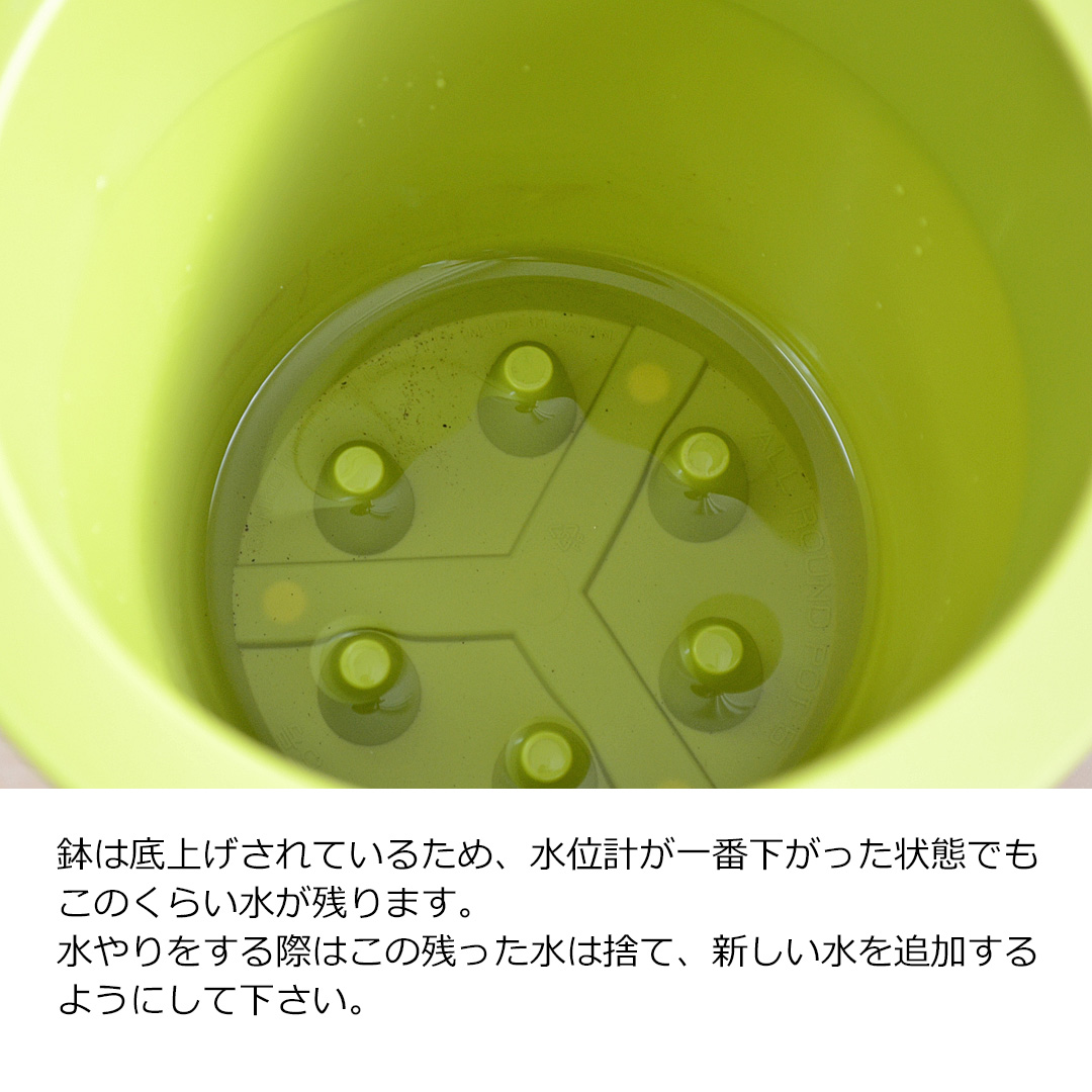 水やり案内