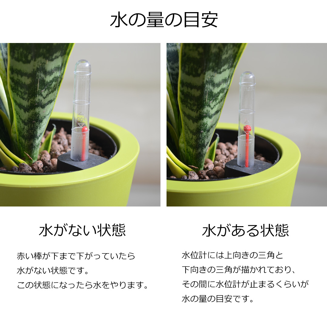 水の量の目安
