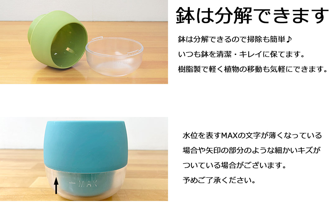 ミニ観葉植物 ハイロドカルチャー ビビ 鉢の説明