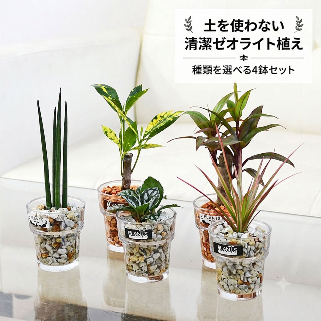4鉢セット