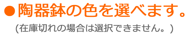 陶器鉢の色を選べます