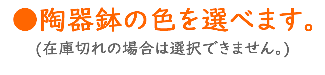 陶器鉢の色を選べます