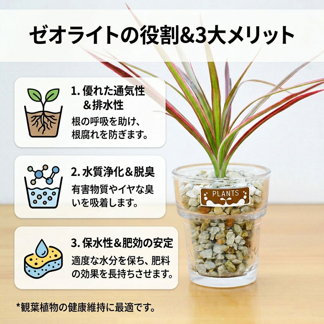観葉植物 ミニ ハイドロカルチャー 水耕栽培 種類 アソート ガラス 4鉢