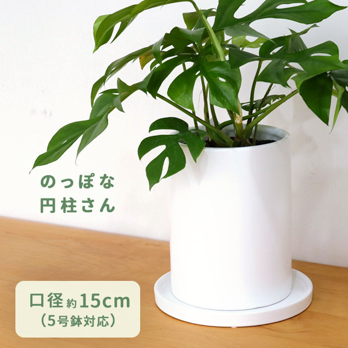 No.342-30-545線十草（青） 25皿掲載ページ-業務用食器