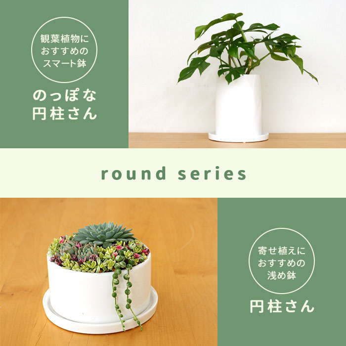 宝石のような観葉植物のお店 【Jewelry Plant】 陶器鉢 4号