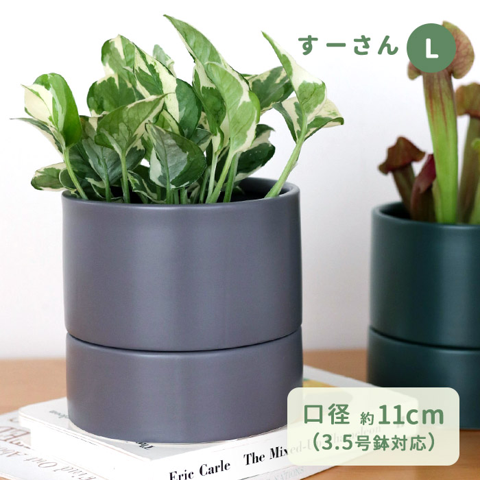 ステンレス鉢植え大サイズ受け皿セット y22a-ac-ssu1r30-z1.jpg