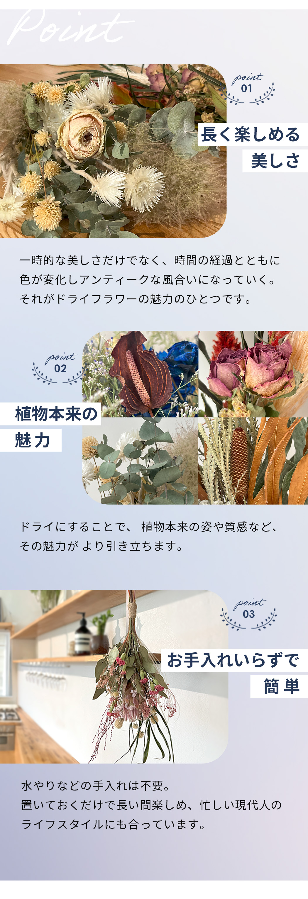 日本花キ流通 選べるドライフラワー スワッグ Sサイズ 送料無料