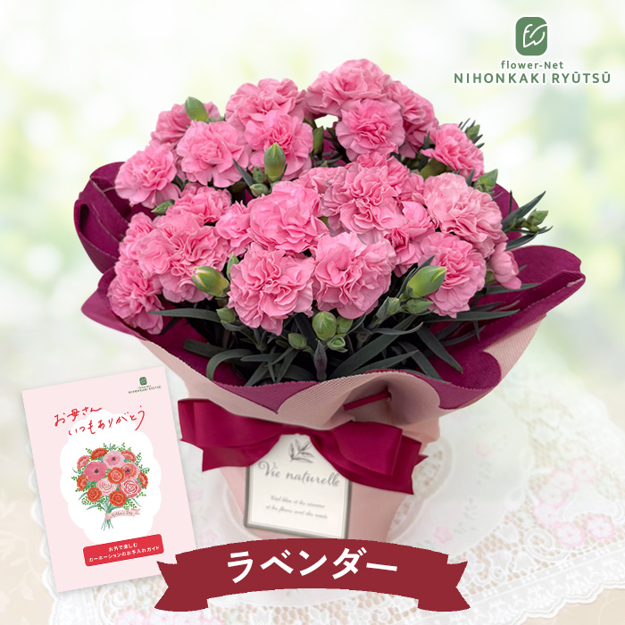 母の日ギフト2026｜フラワーネット日本花キ流通 Yahooショッピング店