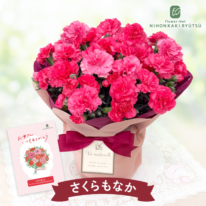 母の日ギフト2026｜フラワーネット日本花キ流通 Yahooショッピング店
