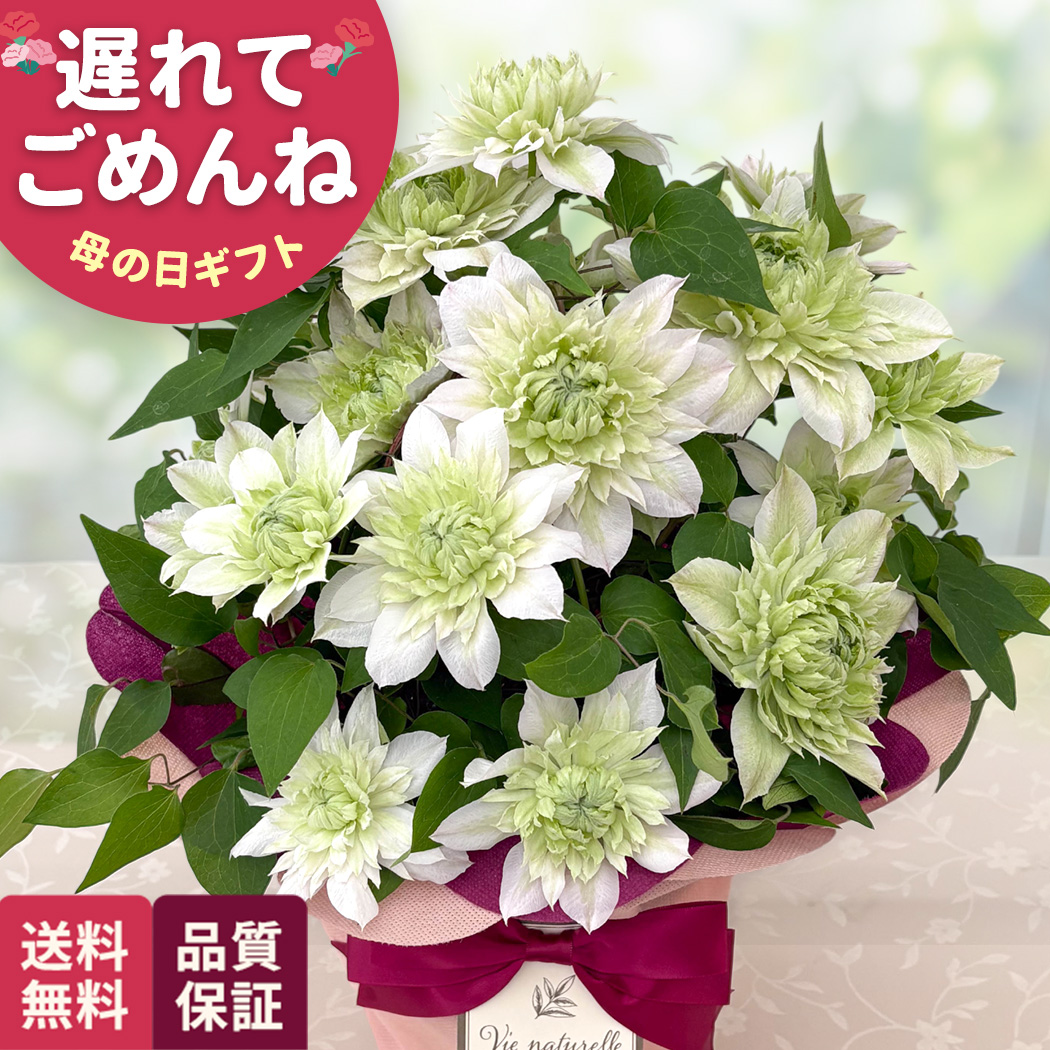母の日ギフト2026｜フラワーネット日本花キ流通 Yahooショッピング店