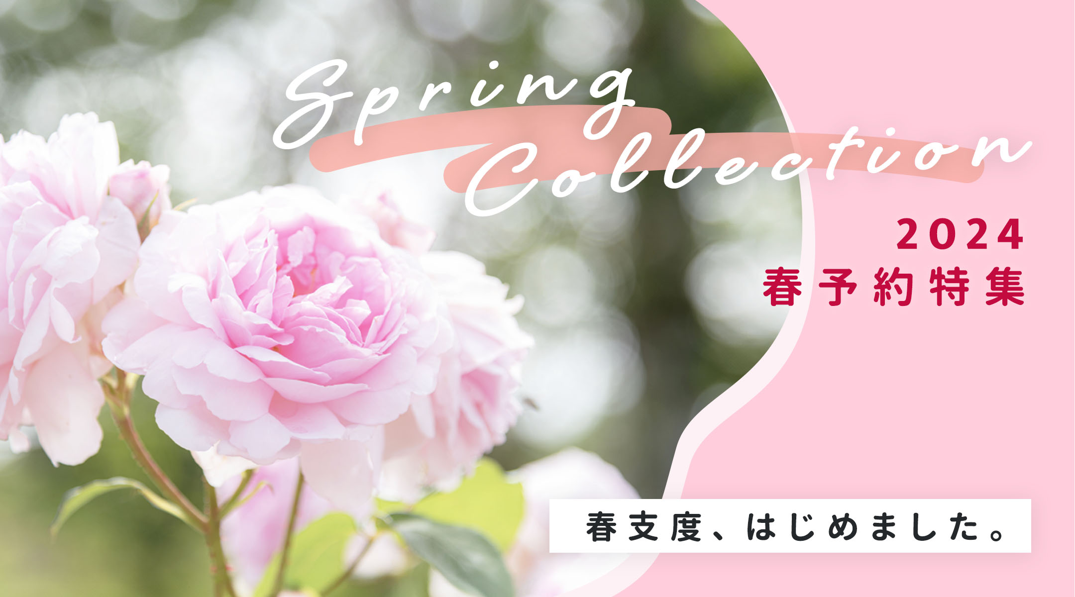 フラワーネット日本花キ流通 Yahooショッピング店【観葉植物・多肉植物