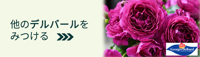 他のデルバールはこちら