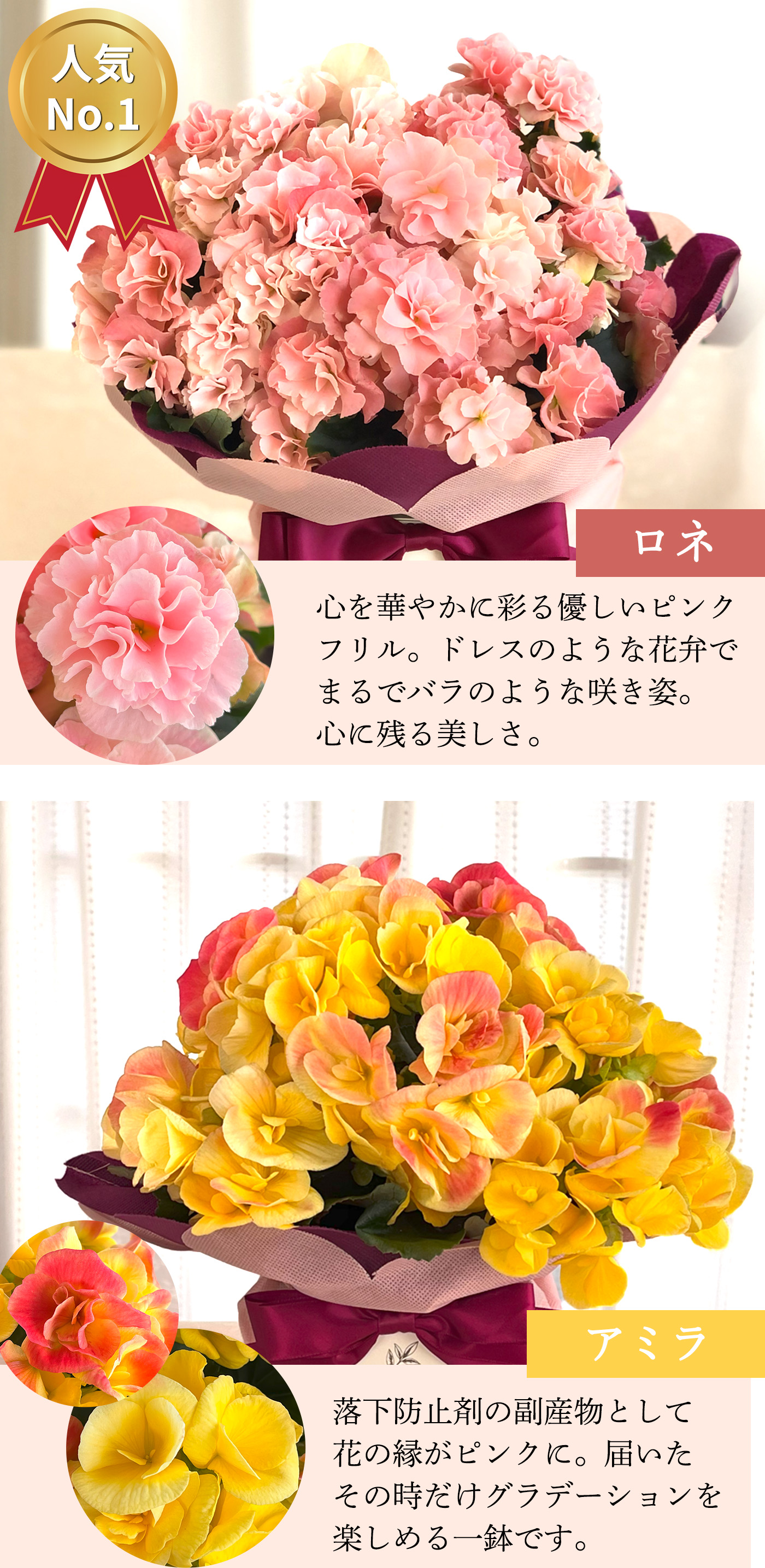 日本花キ流通 ＼39円OFFクーポン／ 早割 母の日 プレゼント