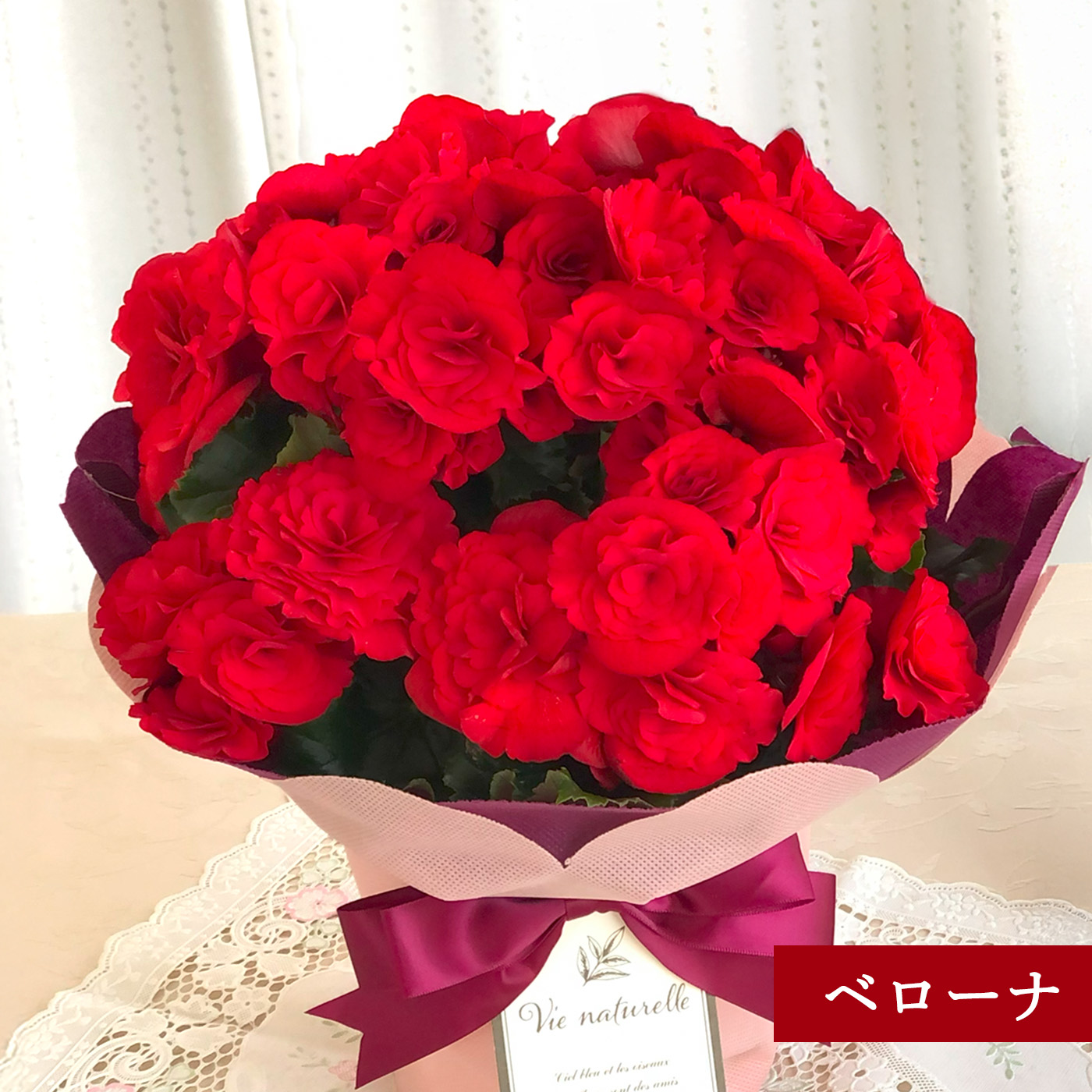 日本花キ流通 ＼39円OFFクーポン／ 早割 母の日 プレゼント