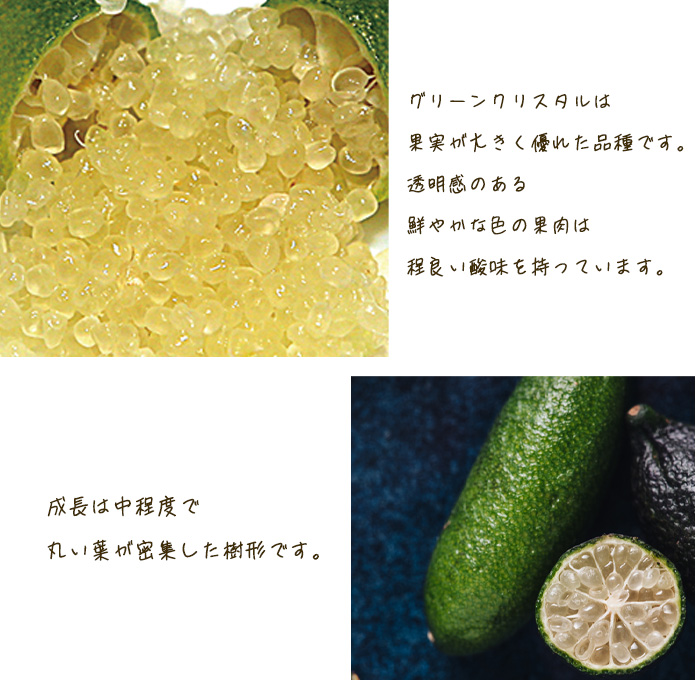 greencrystal2.jpg