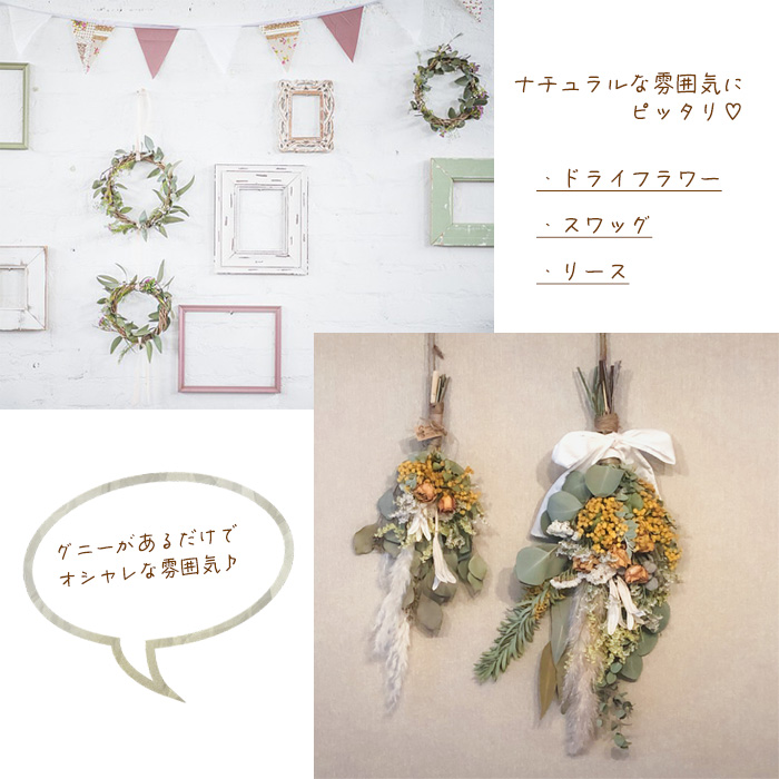 日本花キ流通 ユーカリ 苗 グニー 6号鉢 送料無料 観葉植物