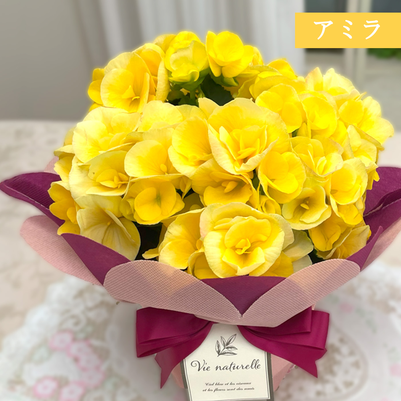 日本花キ流通 ＼ 早割 ／ 母の日 プレゼント 選べる リーガース