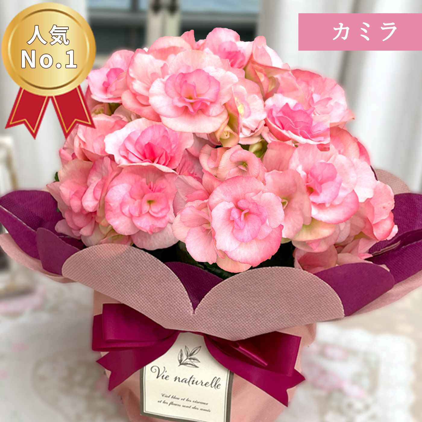 日本花キ流通 ＼ 早割 ／ 母の日 プレゼント 選べる リーガース