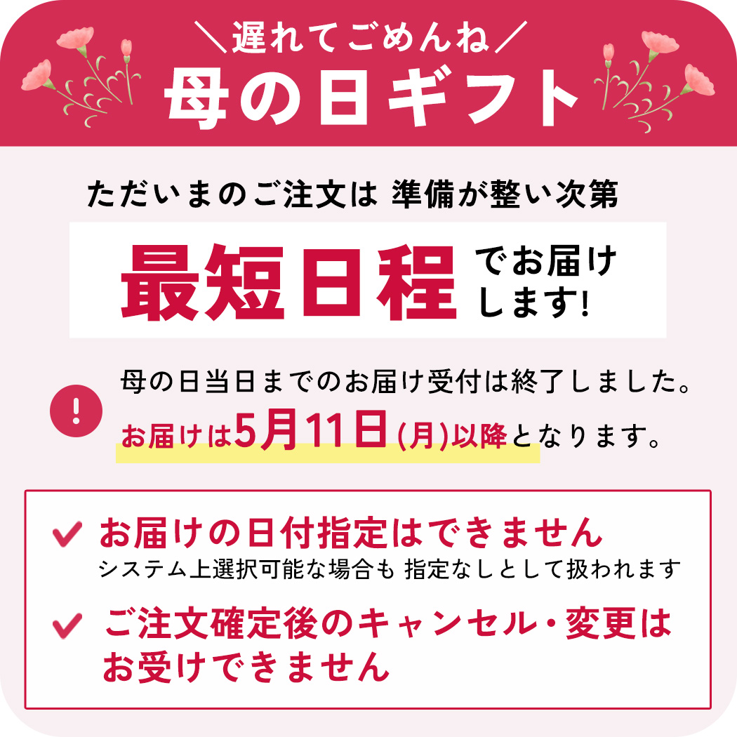 ＼遅れてごめんね／ 母の日 プレゼント 選べる カーネーション 12色 5号鉢 送料無料 メッセージカード付き 母の日ギフト 花 鉢植え 日本花キ流通 | 日本花キ流通 | 29