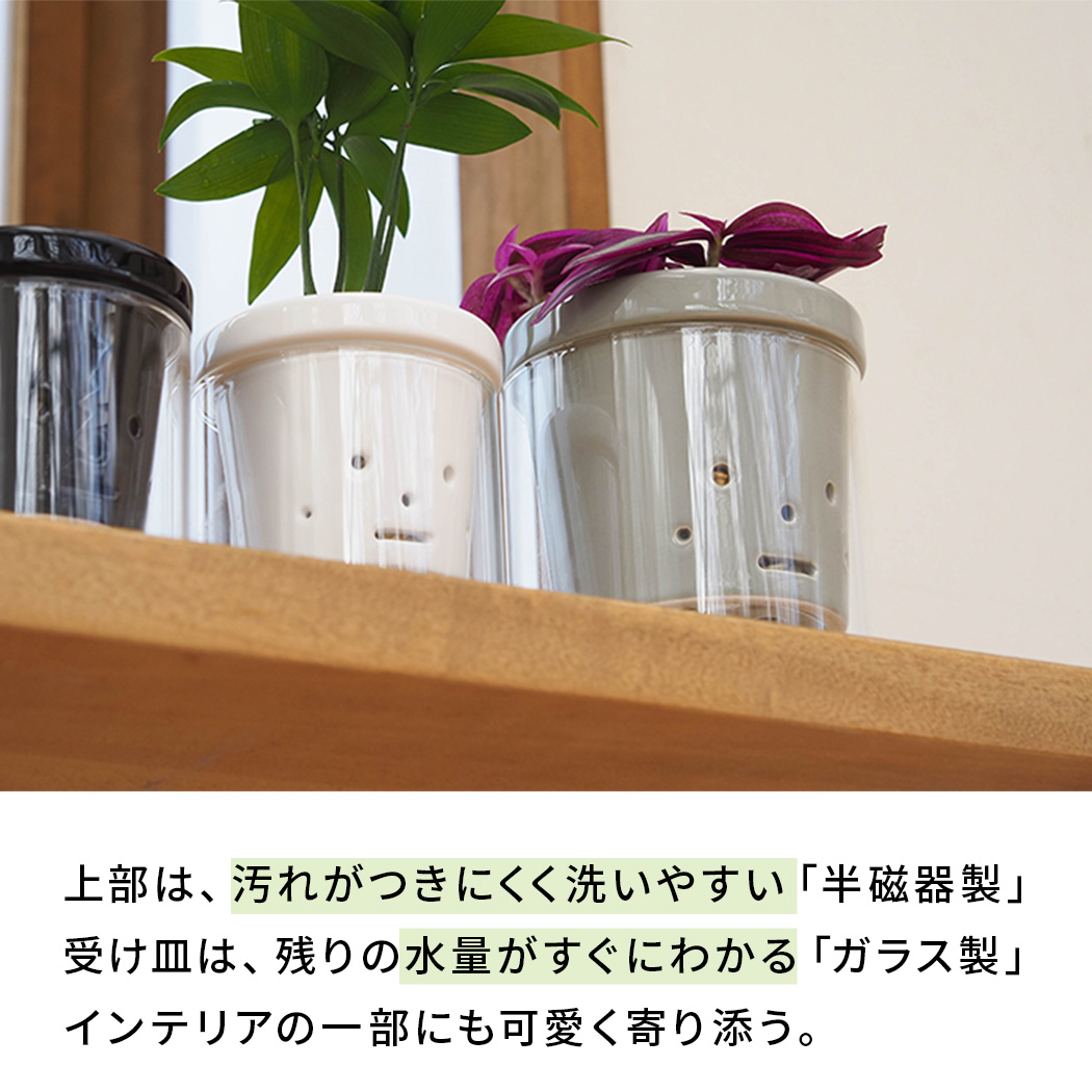 カラーが選べる植木鉢 根っこさん Sサイズ 資 PP-0256S 2号 ガラス