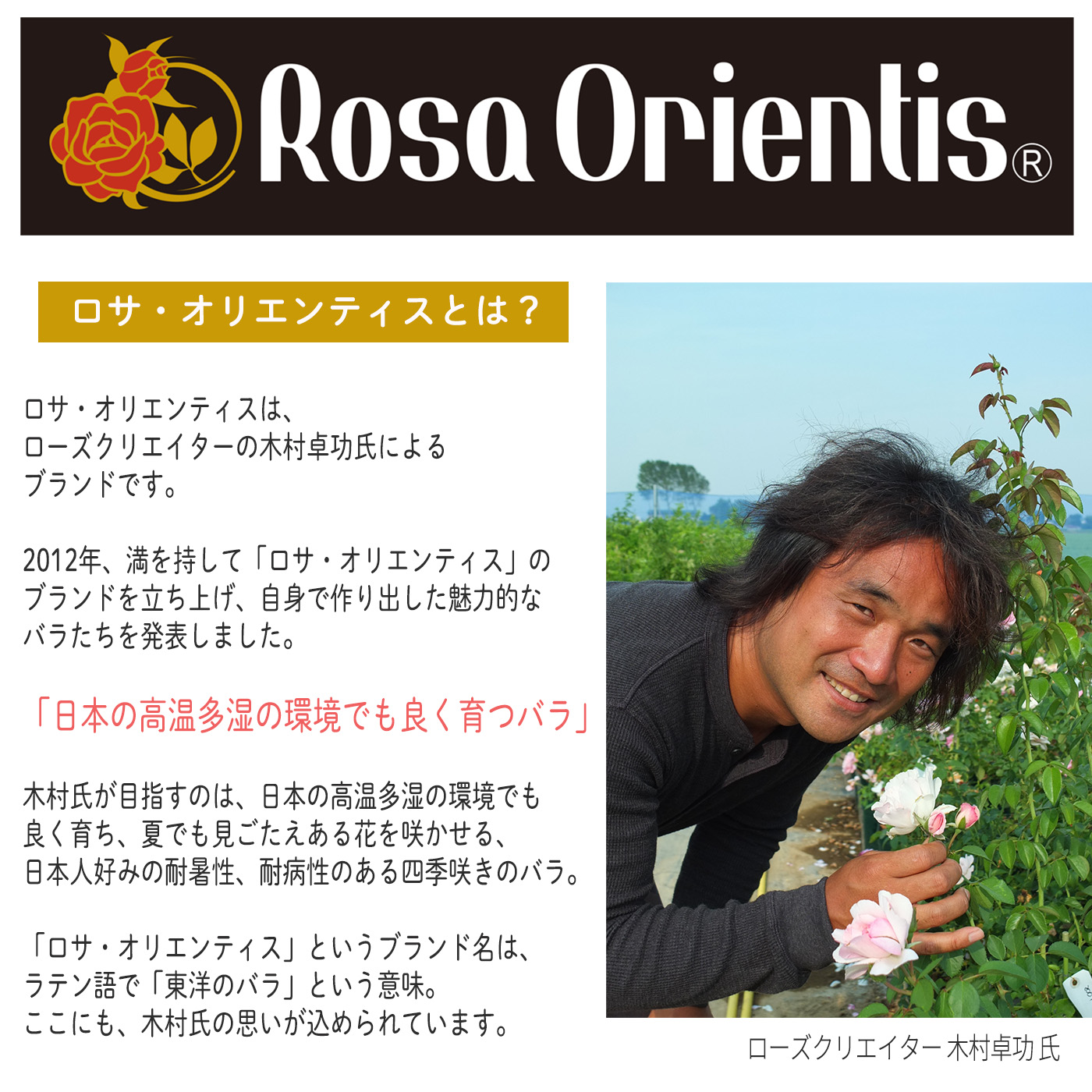 ブランド