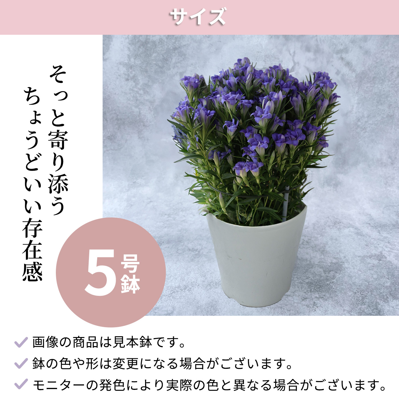木彫りの飾り鉢 長野県花「リンドウ」 約24cm yaenokagayaki2025_8-2x.jpg