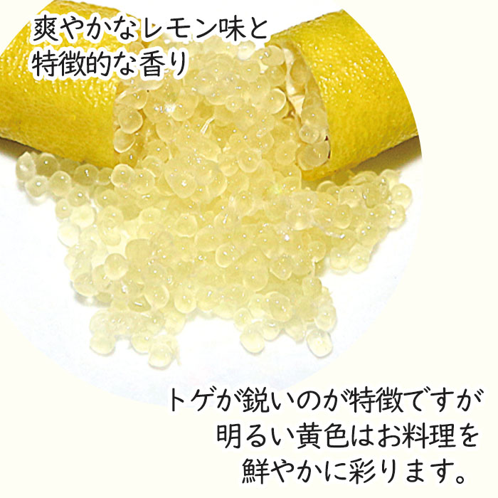 フィンガーライム ニューイエロー 7号鉢 2年生苗 苗木 果樹苗 送料無料