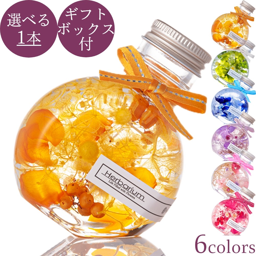 ◇ハーバリウム 244 真っ白いジニアのネコbottle *.:。✿*゜