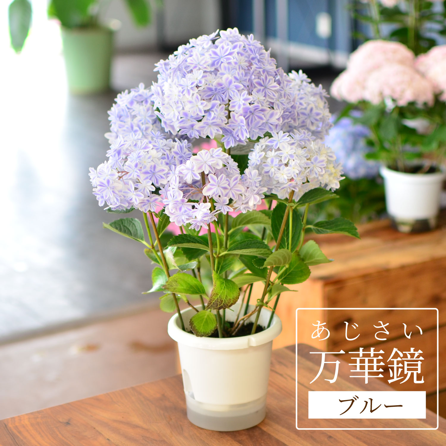 万華鏡ブルー