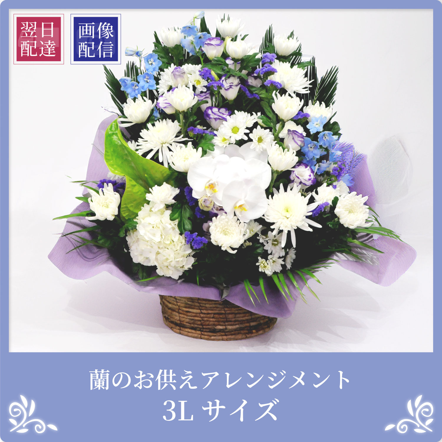 エーデルワイス花の贈り物 お供え 供花 花 仏壇 フラワーギフト 枕花 胡蝶蘭 仏花 法事 法要 四十九日 一周忌 豪華 命日 蘭のお供えアレンジ 3L 花工房エーデルワイス - 通販 - Yahoo ショッピング