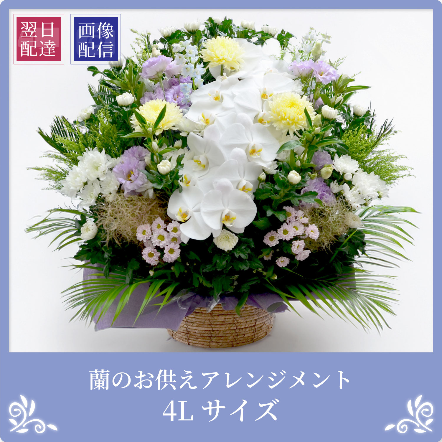 02_ran_osonae_4l.jpg
