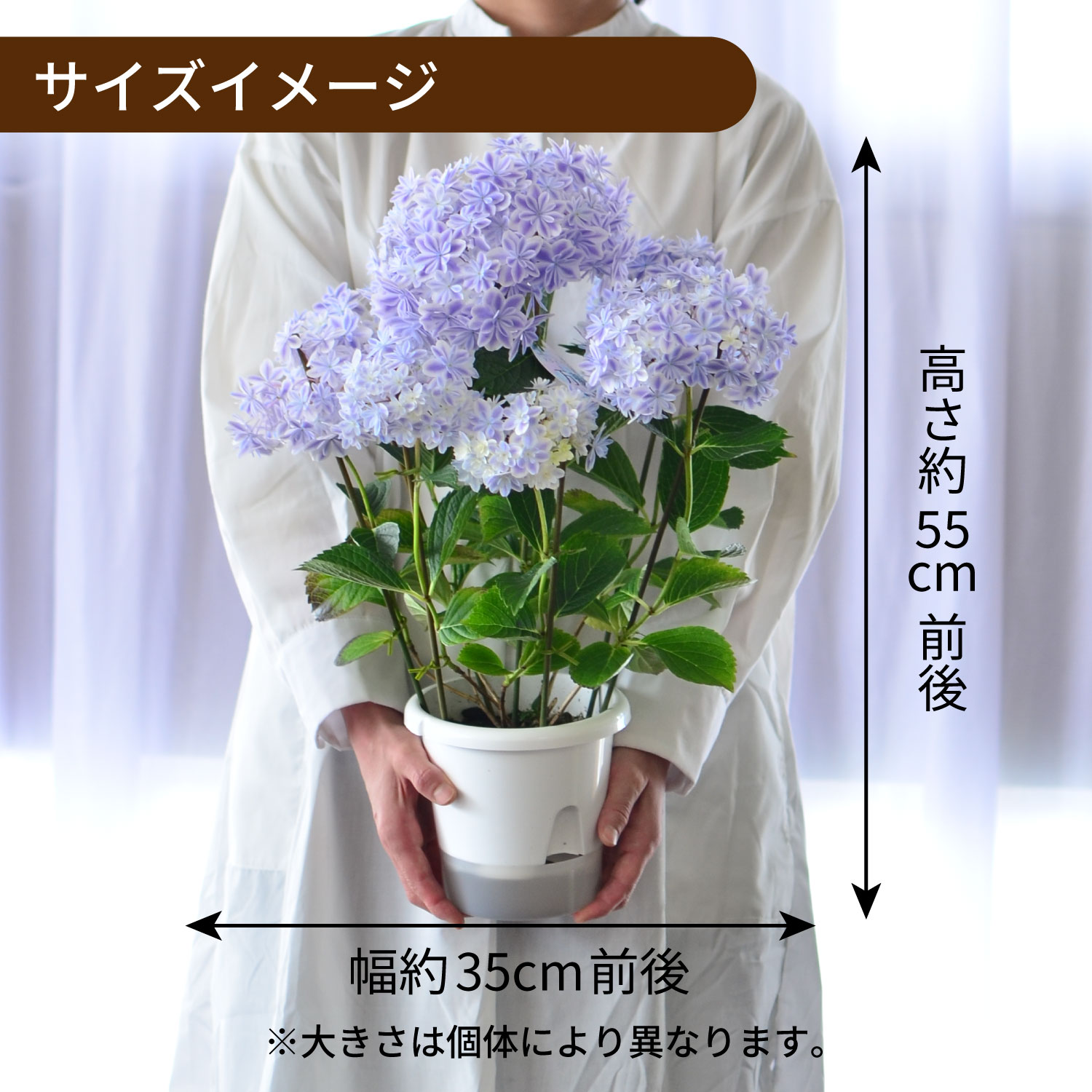 万華鏡ブルー サイズ