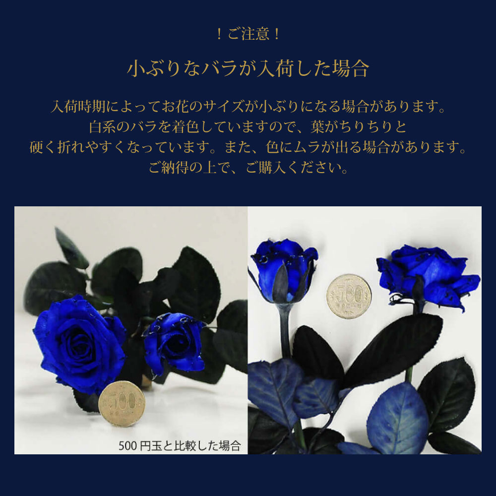 青バラ100本の花束
