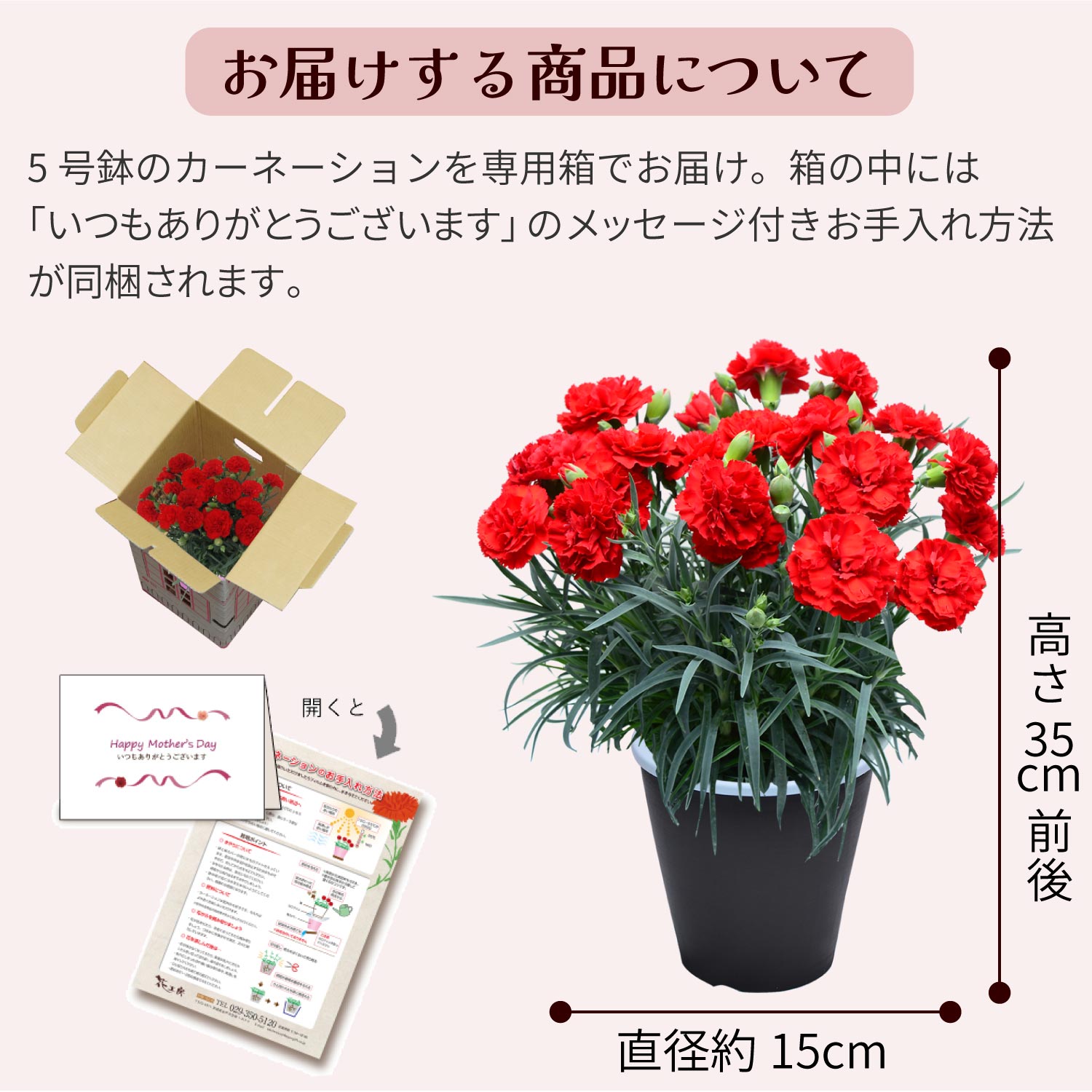 母の日カーネーションスタンダード25色お届けする商品