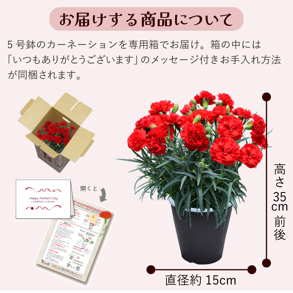 母の日カーネーションスタンダード25色お届けする商品
